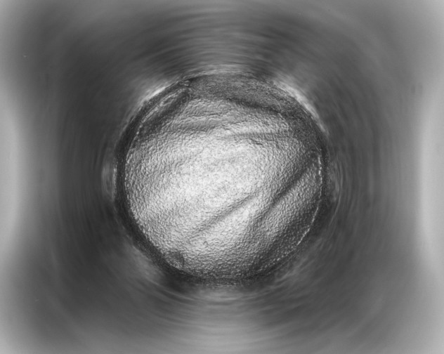 X0000086950110200704301225