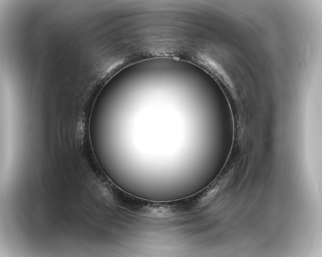 X0000086950113200704301225