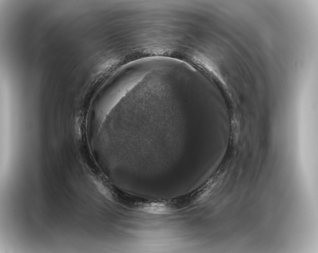 X0000086950114200704301225