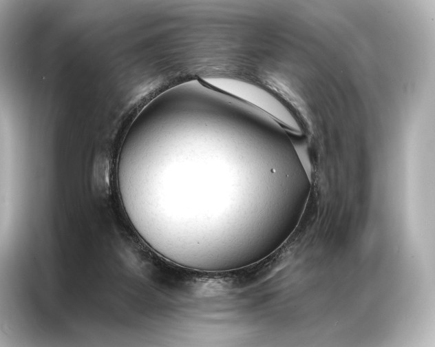 X0000086950115200704301225