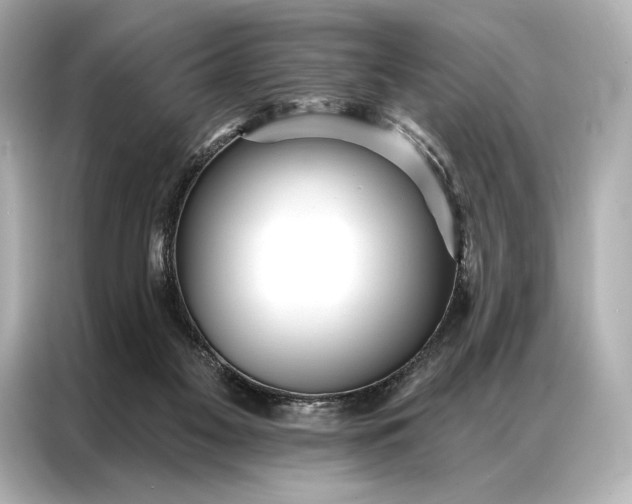 X0000086950117200704301225