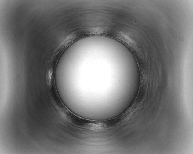 X0000086950118200704301225