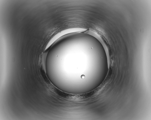 X0000086950121200704301225