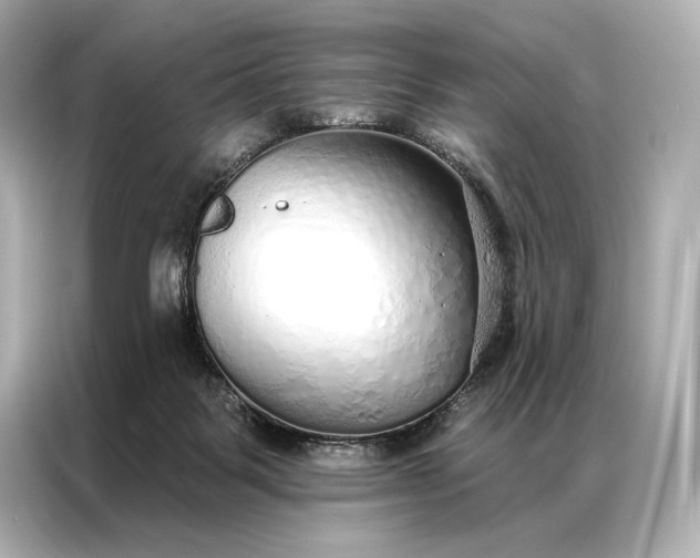 X0000086950123200704301225