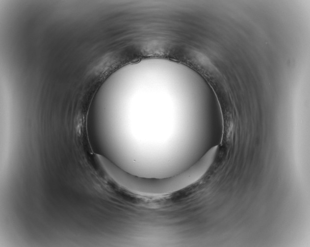 X0000086950125200704301225