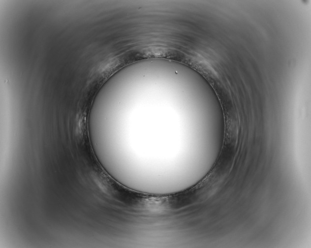 X0000086950126200704301225