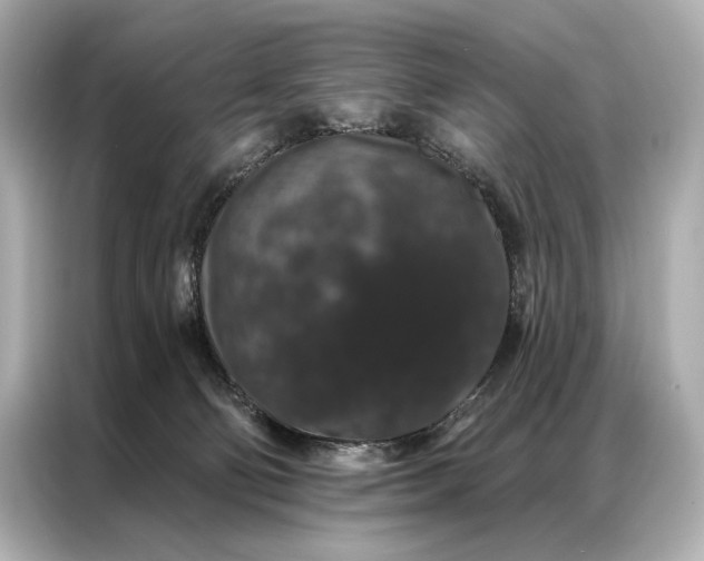 X0000086950130200704301225