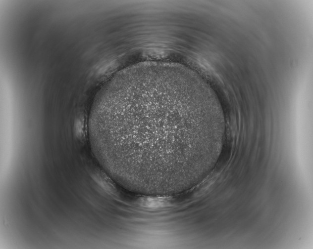 X0000086950134200704301225