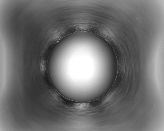 X0000086950135200704301225