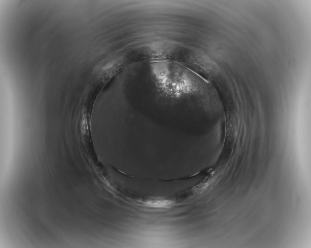 X0000086950137200704301225