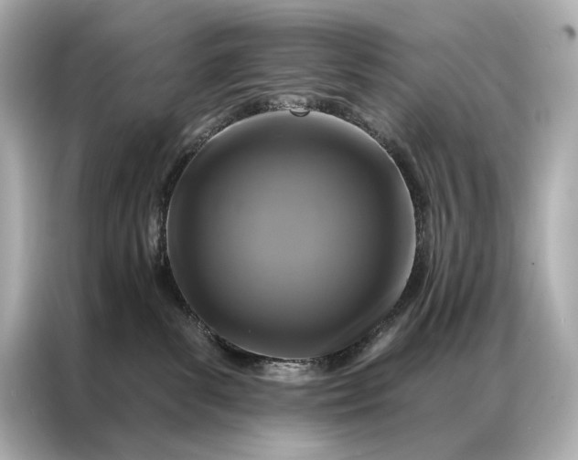 X0000086950139200704301225