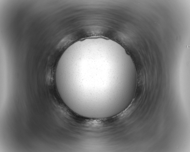 X0000086950140200704301225