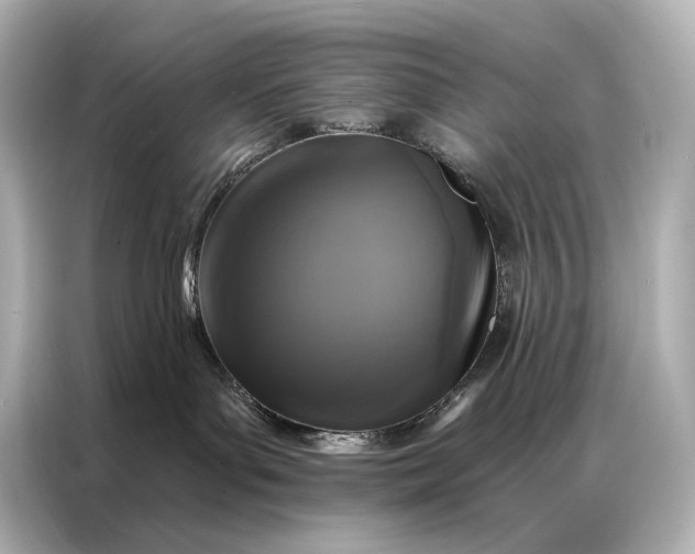 X0000086950143200704301225