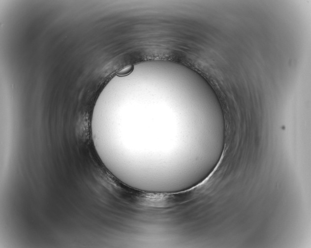 X0000086950144200704301225