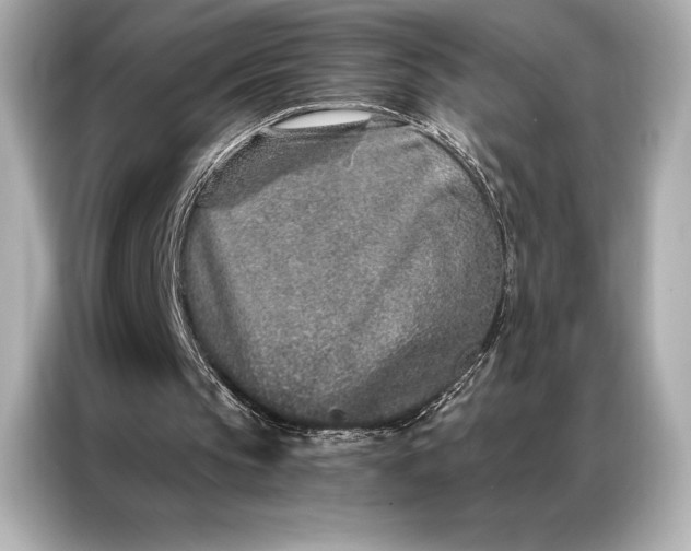 X0000086950145200704301224