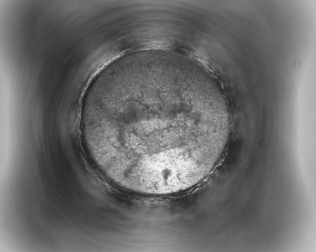 X0000086950146200704301224