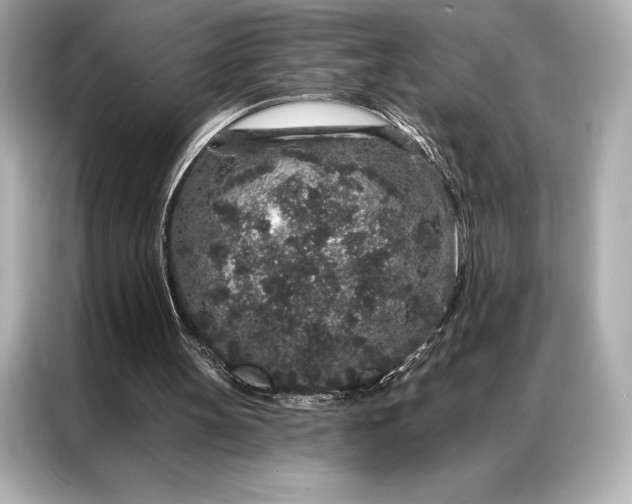 X0000086950147200704301224