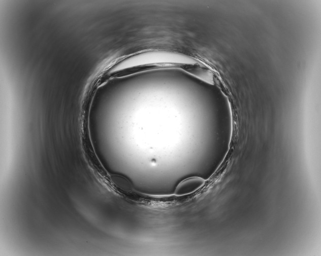 X0000086950149200704301224