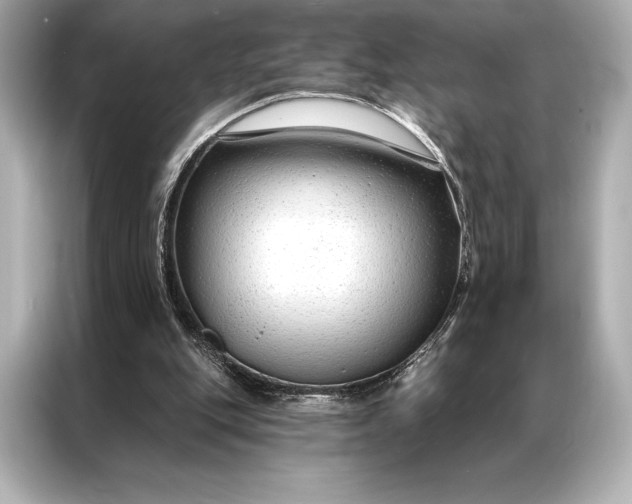 X0000086950151200704301224