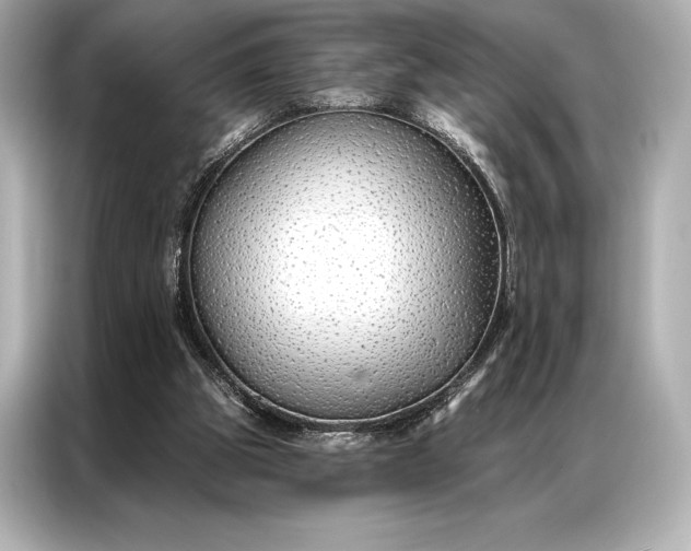 X0000086950153200704301224