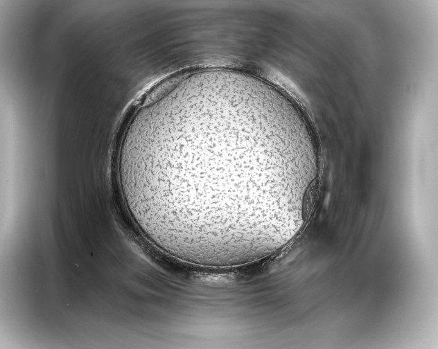 X0000086950155200704301224