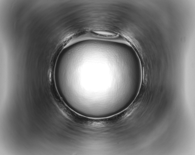 X0000086950157200704301224