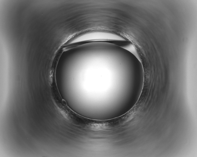 X0000086950160200704301224