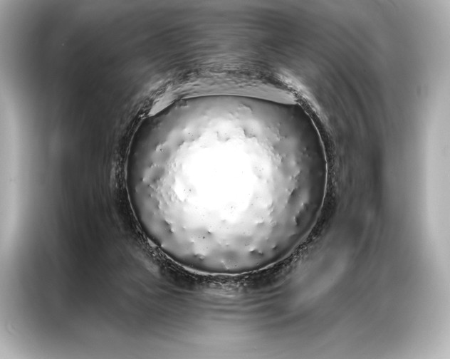 X0000086950161200704301225