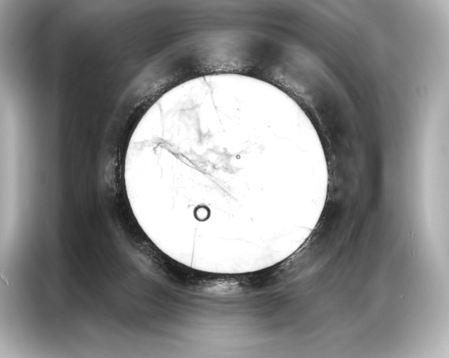 X0000086950162200704301225