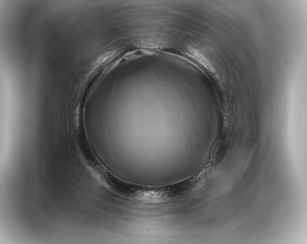 X0000086950163200704301225