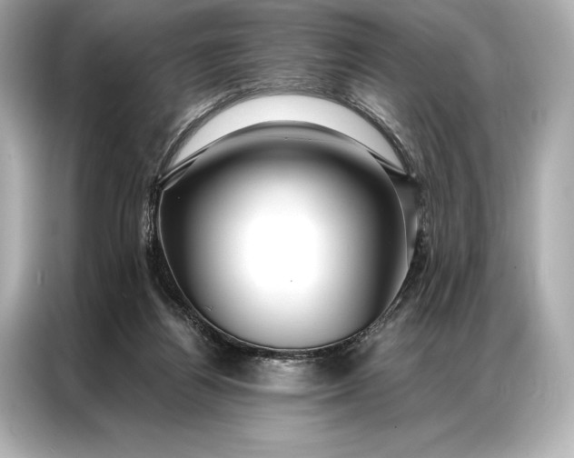 X0000086950164200704301225