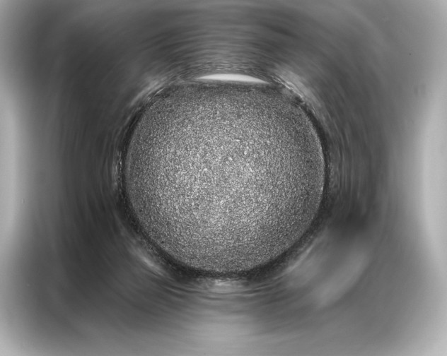 X0000086950165200704301225