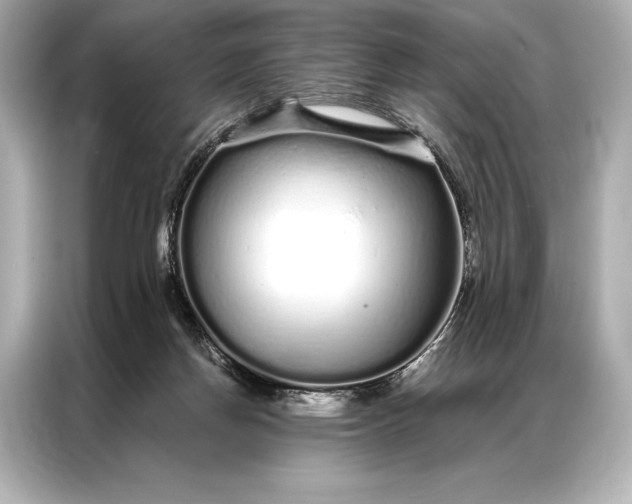 X0000086950166200704301225