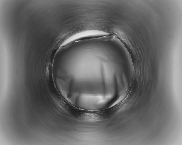 X0000086950167200704301225