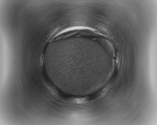 X0000086950168200704301225