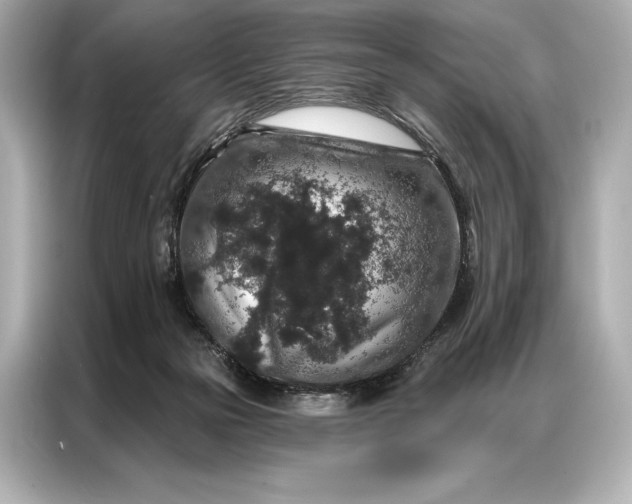 X0000086950169200704301225