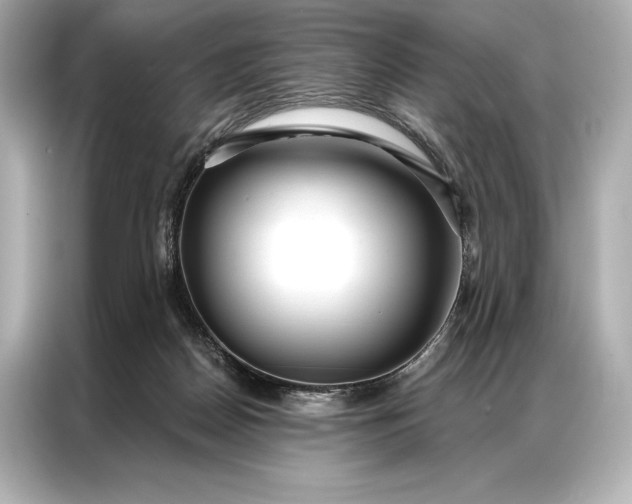 X0000086950170200704301225