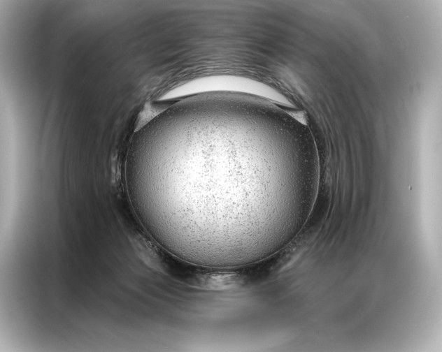 X0000086950173200704301225