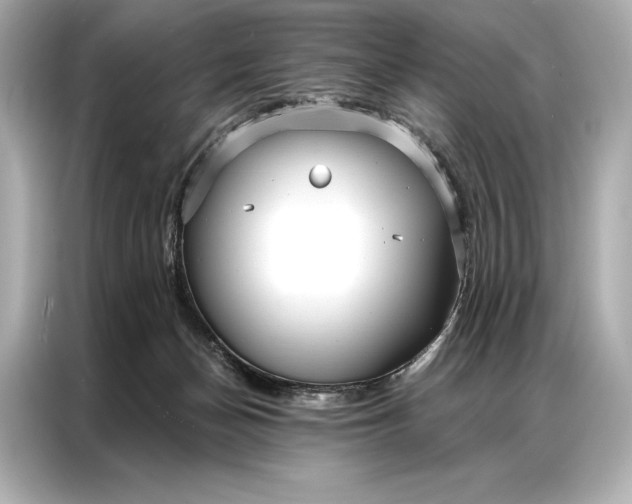 X0000086950174200704301225