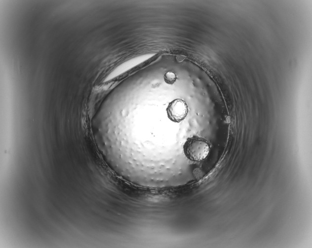 X0000086950175200704301225