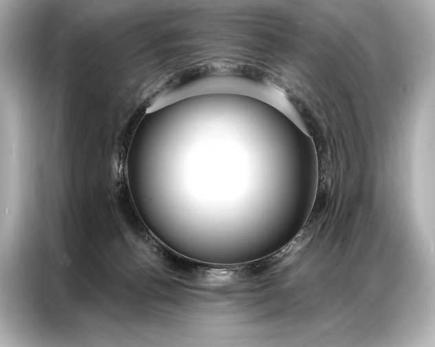 X0000086950176200704301225