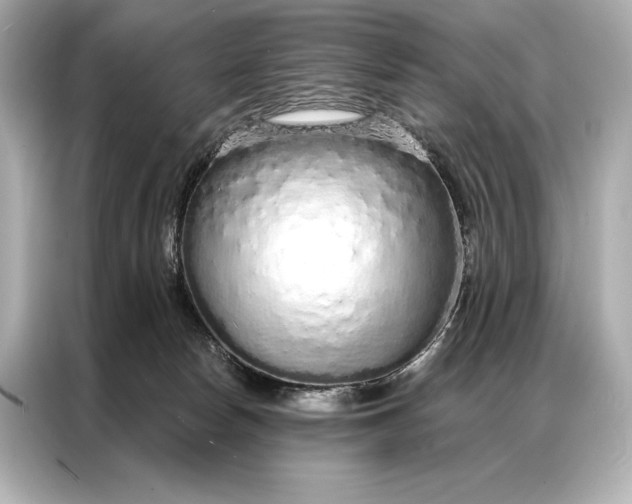 X0000086950178200704301225