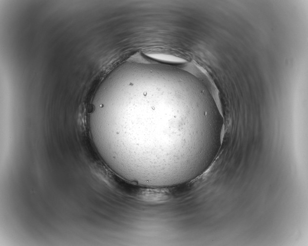 X0000086950179200704301225