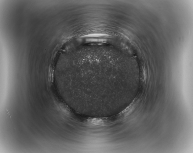 X0000086950180200704301225