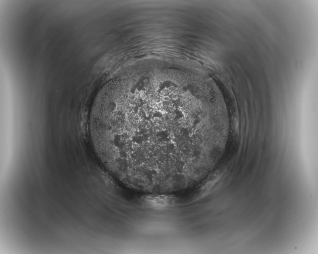 X0000086950181200704301225