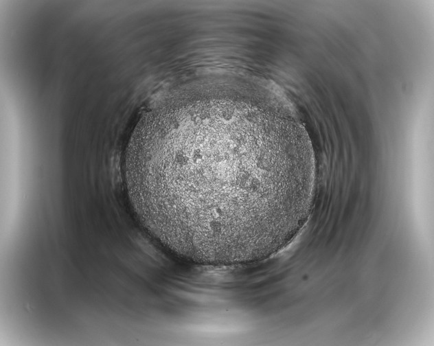 X0000086950182200704301225