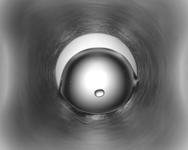 X0000086950184200704301225