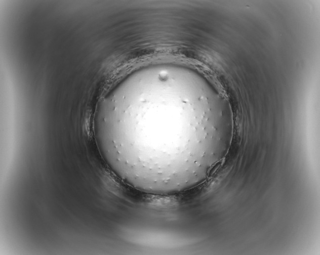 X0000086950185200704301225