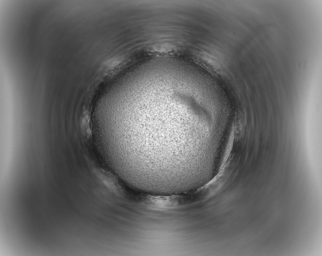 X0000086950187200704301225