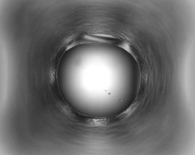 X0000086950188200704301225